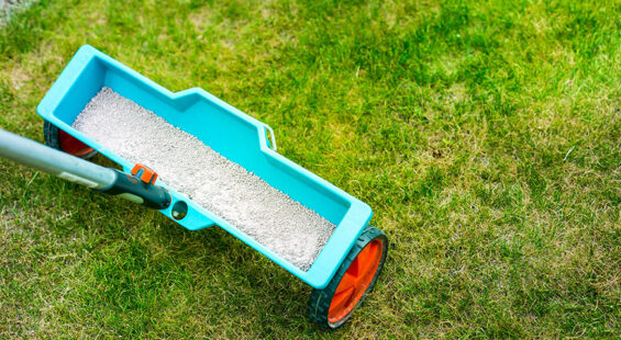 8 useful tips for maintaining a lush green lawn